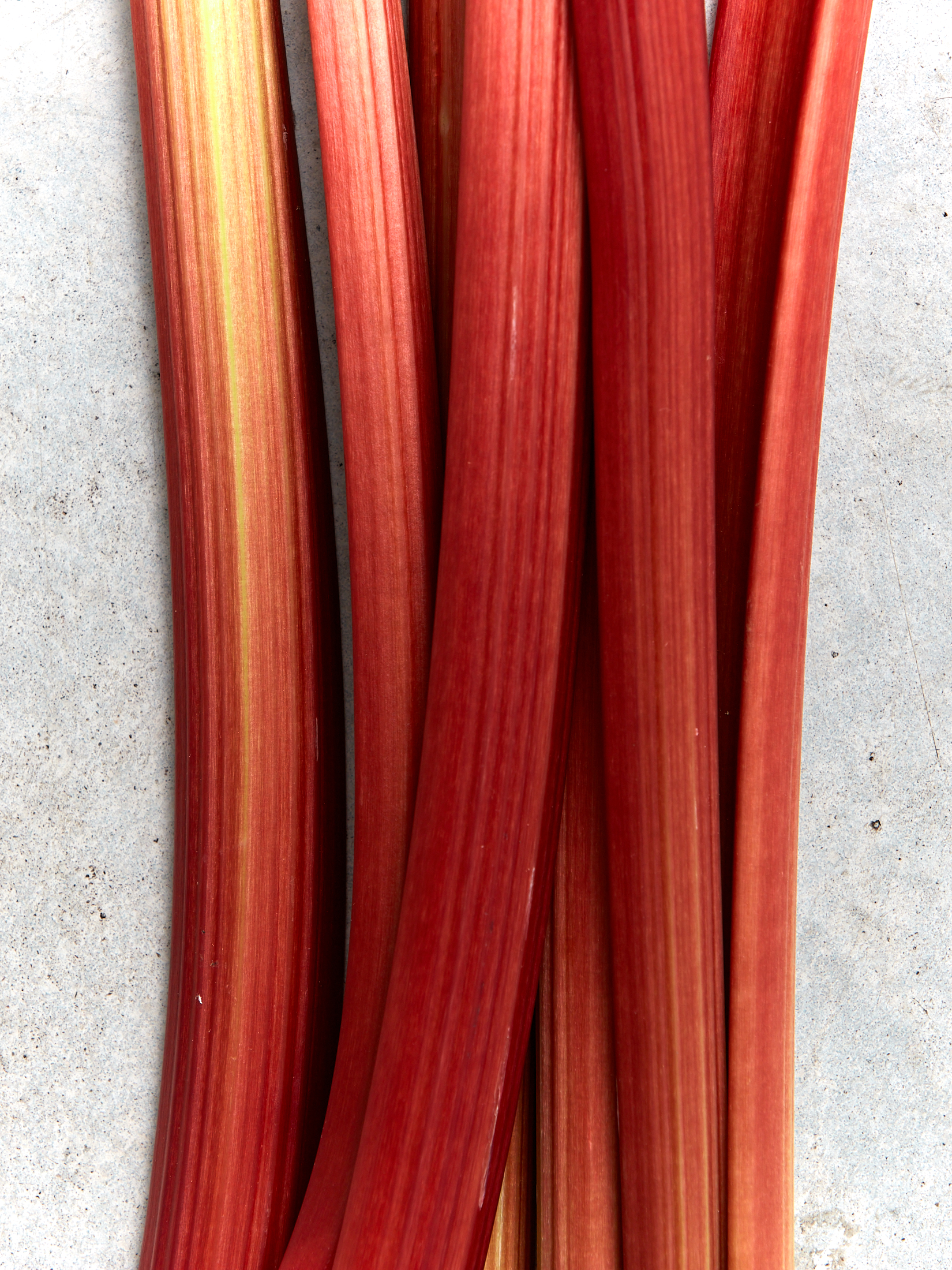 Contrast 12 – 170420240512