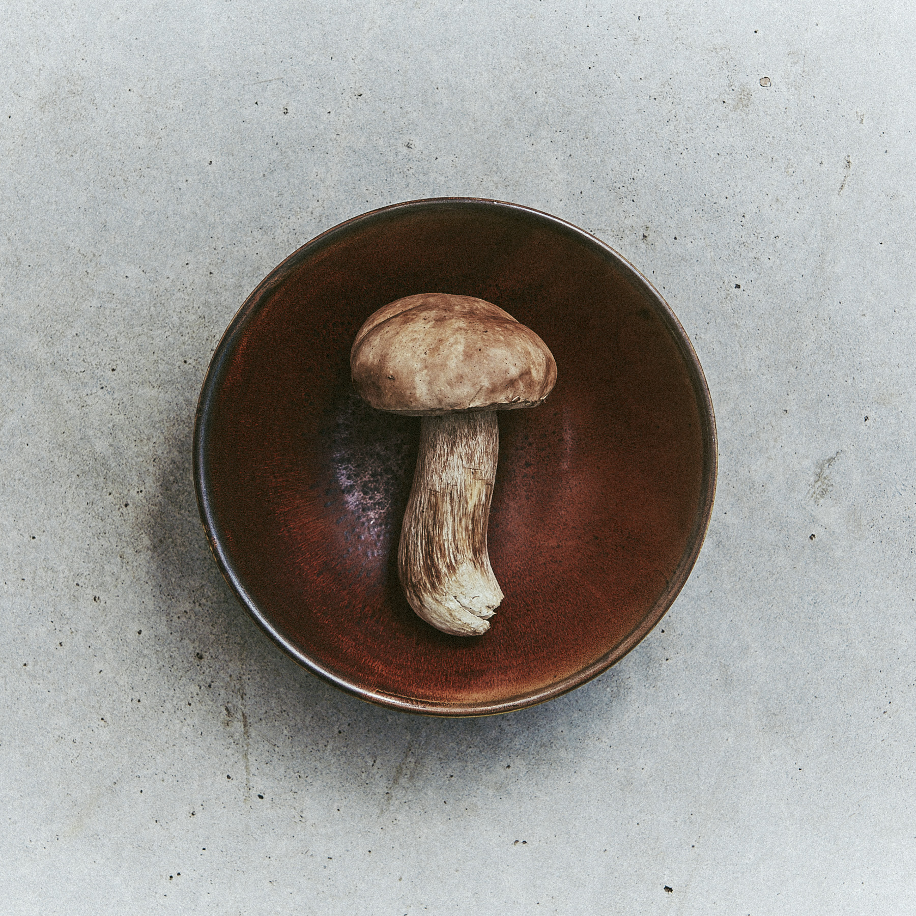 Contrast 12 – 170420240538