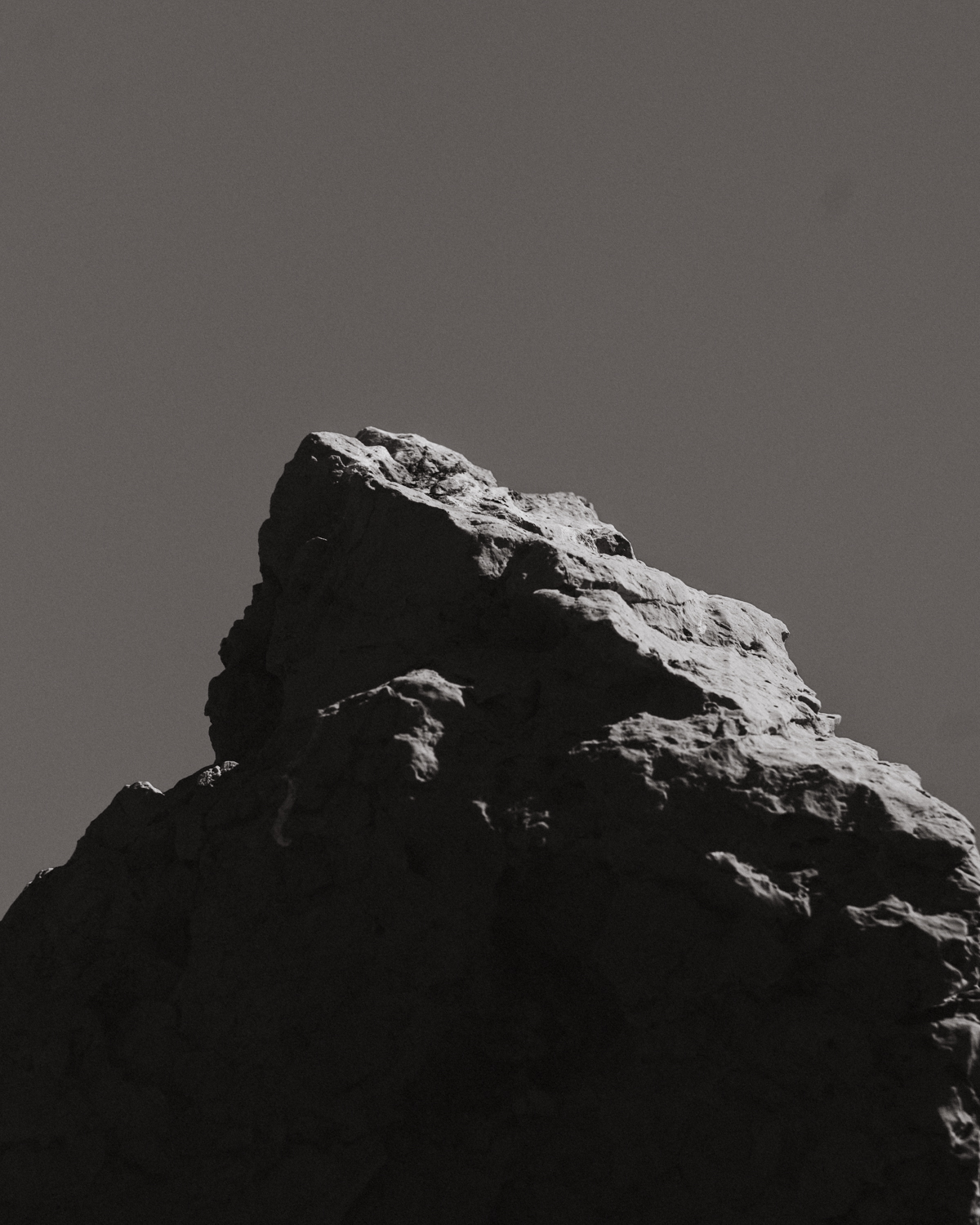 L1008247